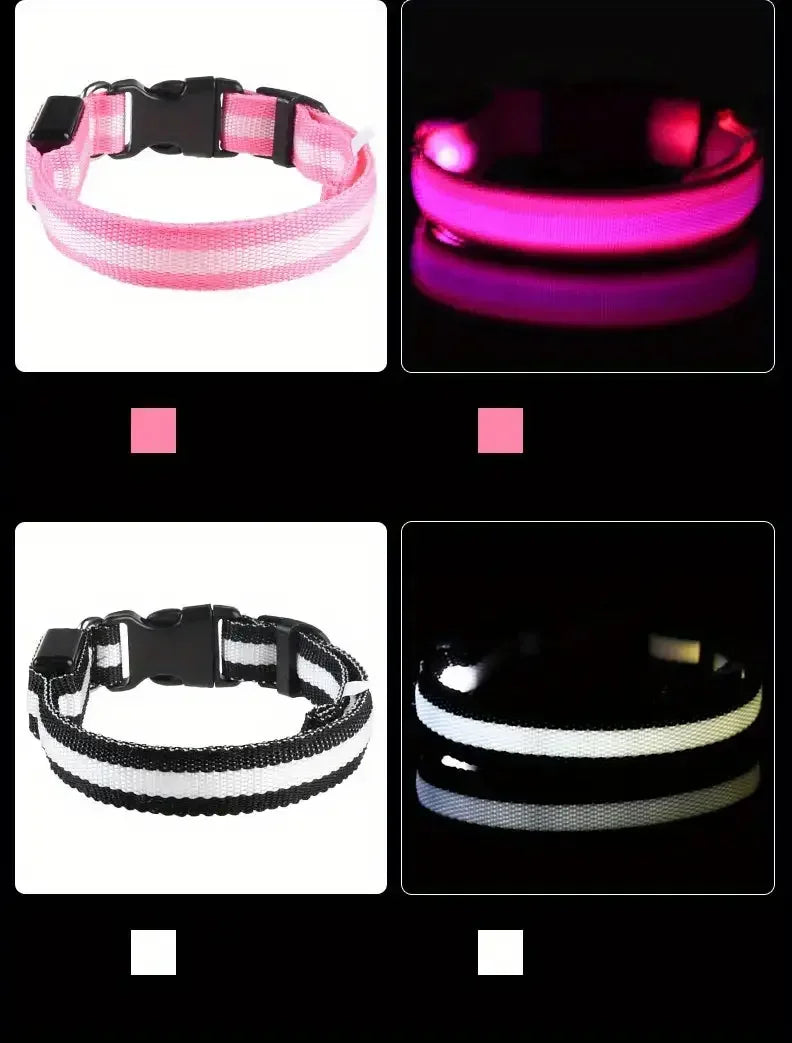 LED Nylon Dog Collar – Night Safety Glow-in-the-Dark Leash