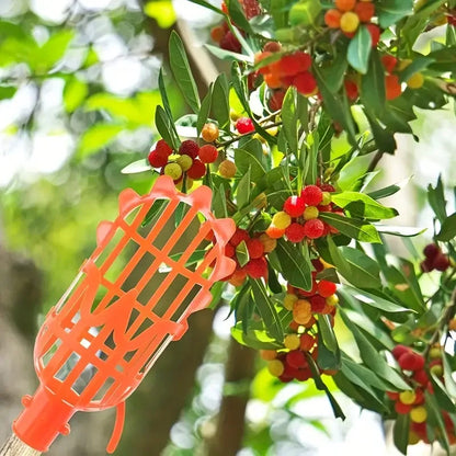 High-Altitude Fruit Picker | Tool for Loquat, Peach, Plum & Jujube