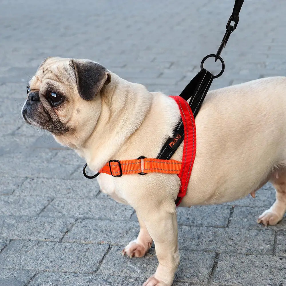 Reflective Nylon Dog Harness – No Pull Adjustable Walking Vest