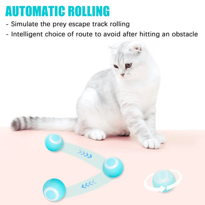 Automatic 360° Rotating Cat Toy Ball – USB Charging Exercise Toy