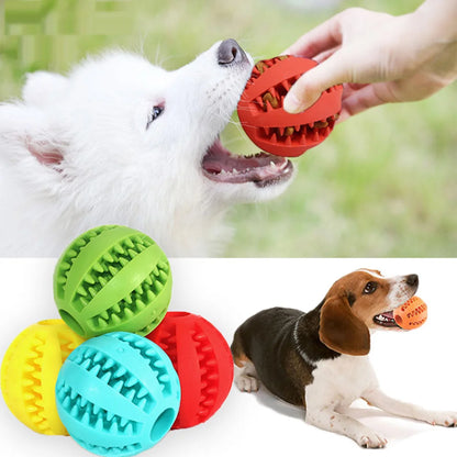 Interactive Dog Food Ball – Teeth Cleaning Toy for Puppies & Cats