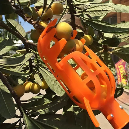 High-Altitude Fruit Picker | Tool for Loquat, Peach, Plum & Jujube