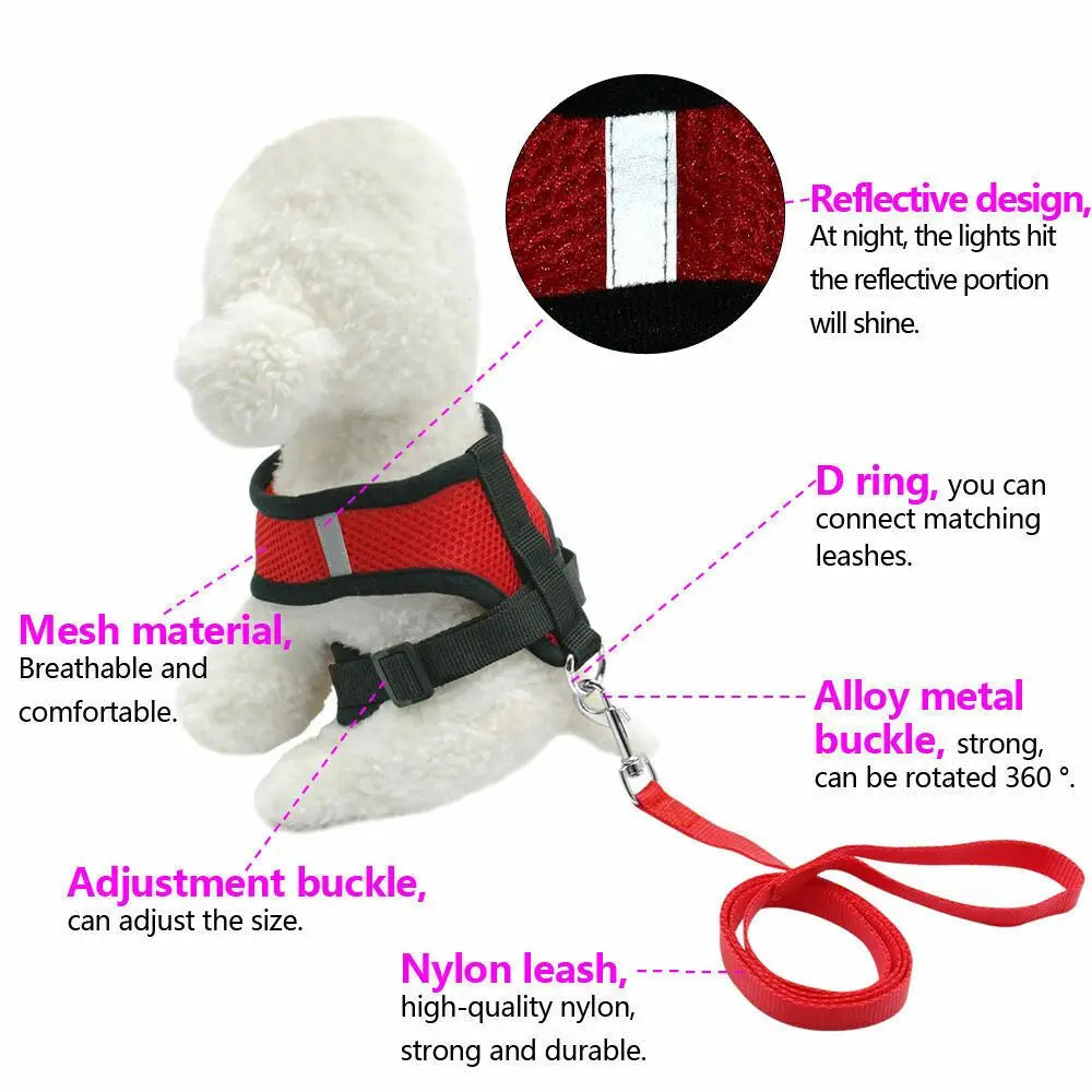 Soft Mesh Dog Harness – Breathable Comfort for Small Dogs & Cats