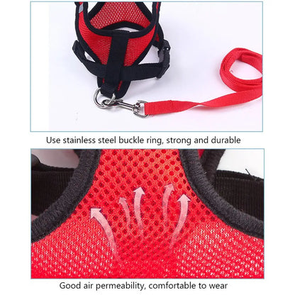 Soft Mesh Dog Harness – Breathable Comfort for Small Dogs & Cats