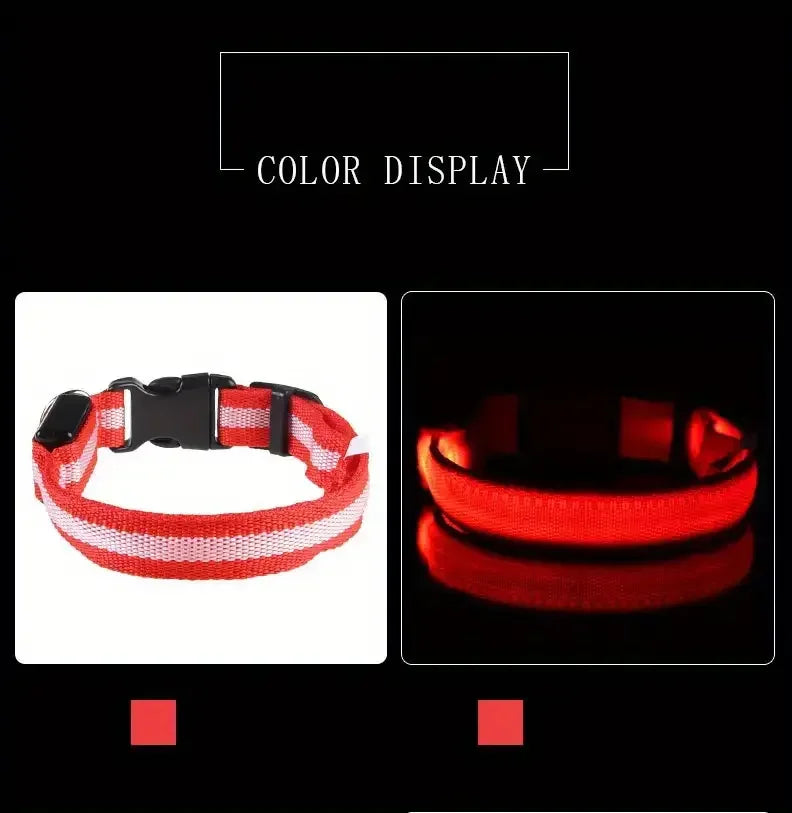 LED Nylon Dog Collar – Night Safety Glow-in-the-Dark Leash