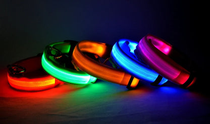 LED Nylon Dog Collar & Leash – Night Safety Glow-in-the-Dark Accessory