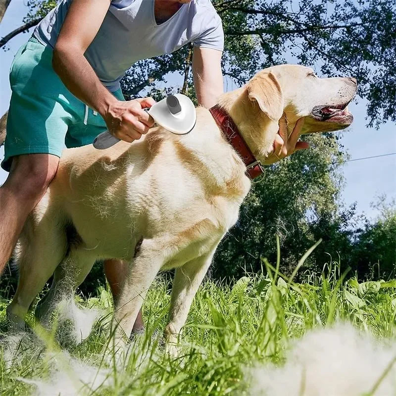 Self-Cleaning Pet Hair Remover Brush for Dogs & Cats – Dematting Grooming Tool