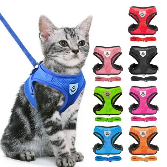 Adjustable Mesh Cat Harness with Lead Leash – Small Medium Dogs & Kittens